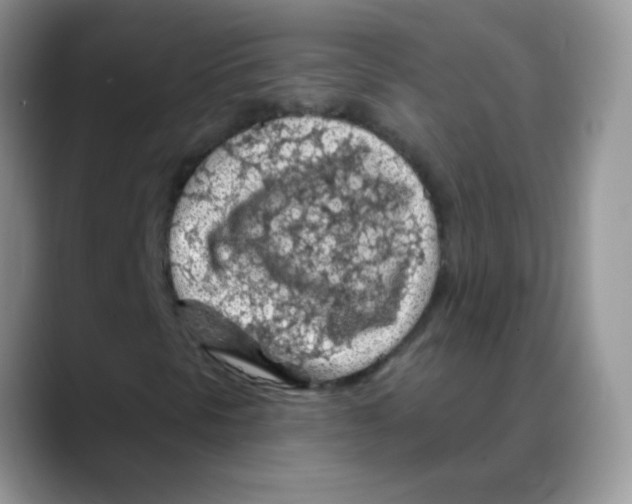X0000088061297200706081641
