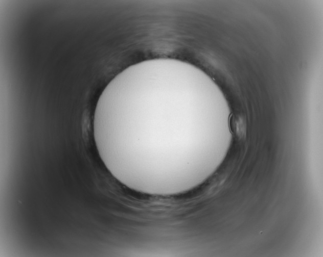 X0000088061299200706081641