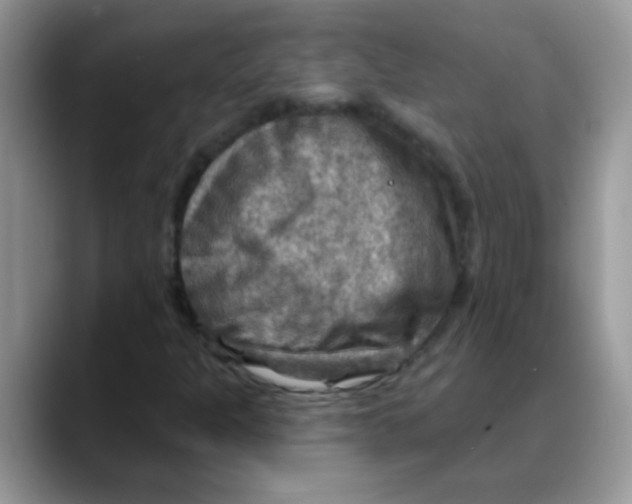 X0000088061301200706081641