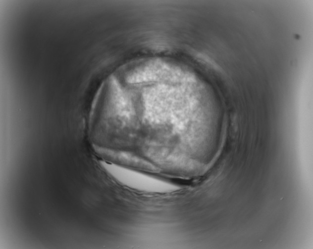 X0000088061302200706081641