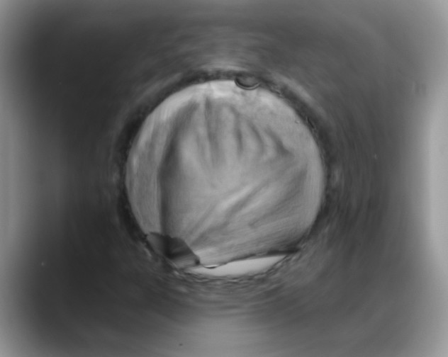X0000088061303200706081641