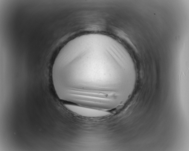 X0000088061304200706081641