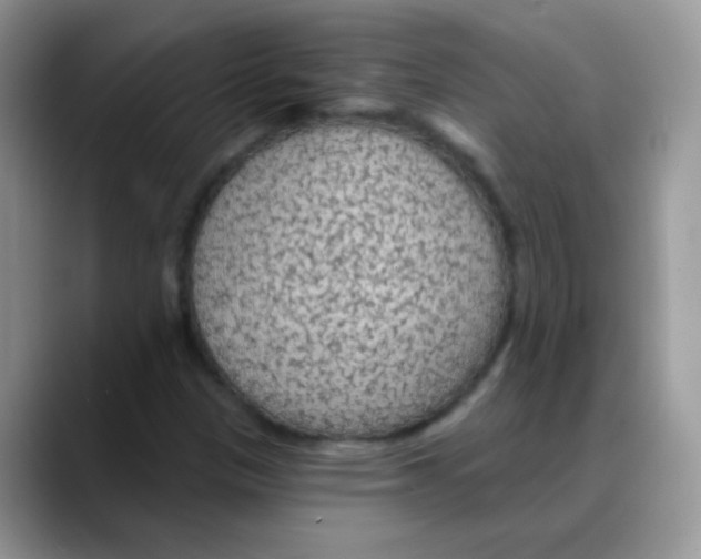 X0000088061305200706081641