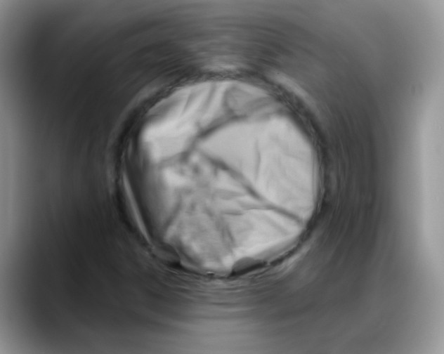 X0000088061306200706081641