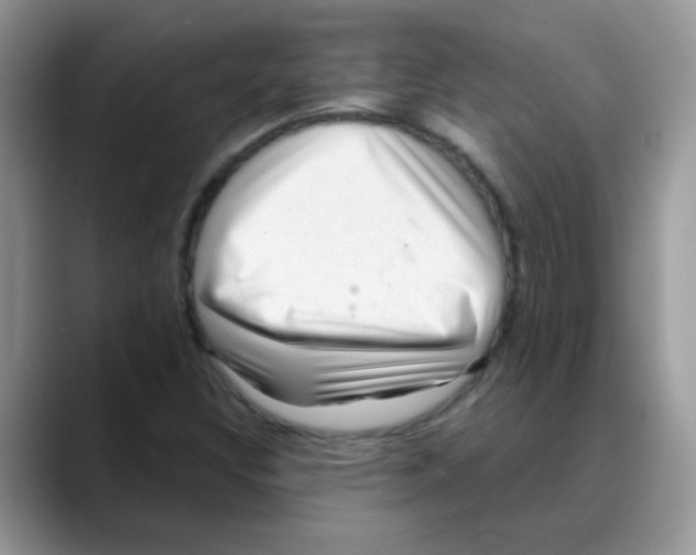 X0000088061308200706081641