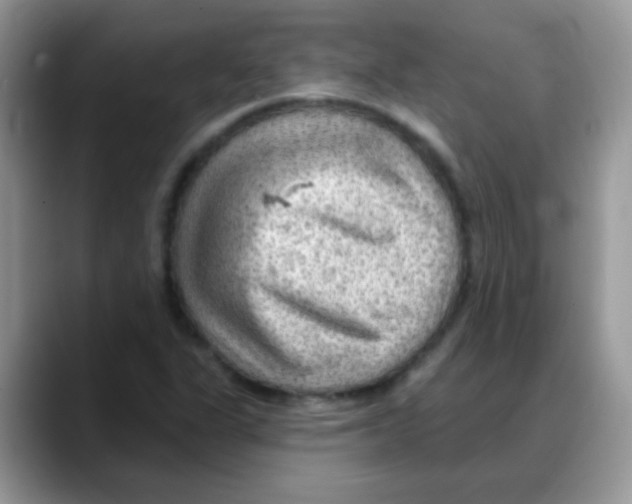 X0000088061311200706081641