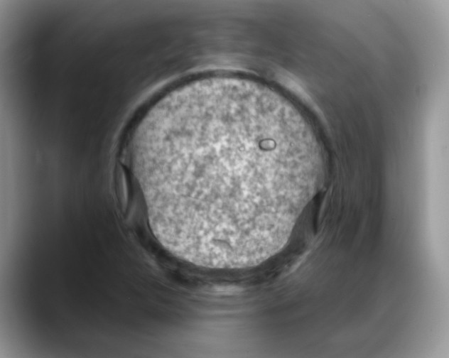 X0000088061312200706081641