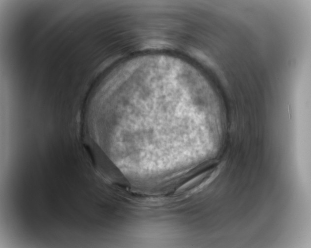 X0000088061313200706081641