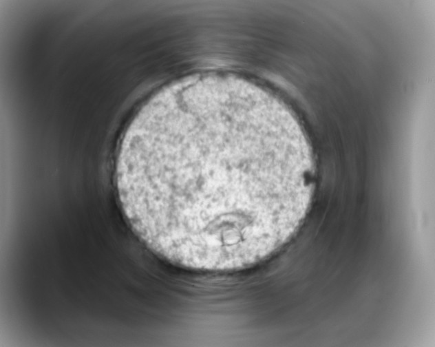 X0000088061314200706081641