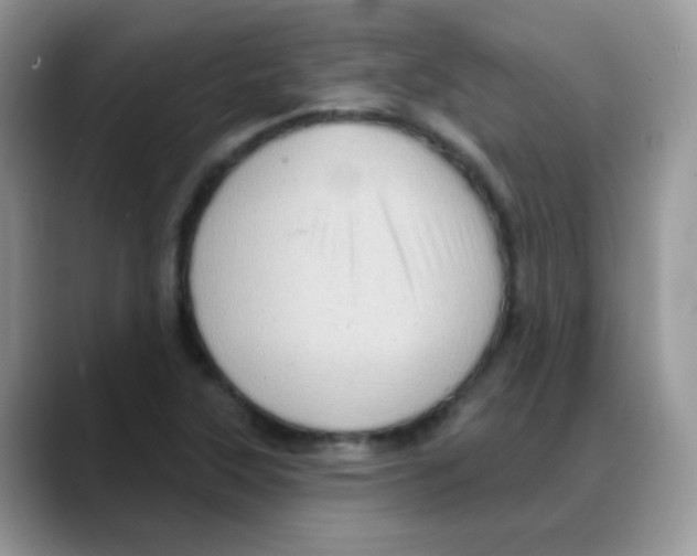 X0000088061315200706081641