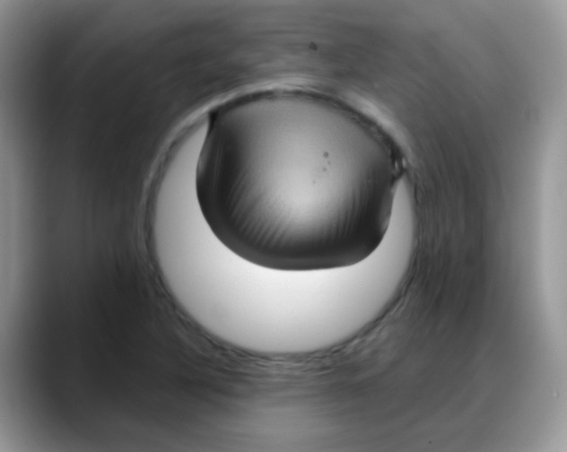 X0000088061316200706081641