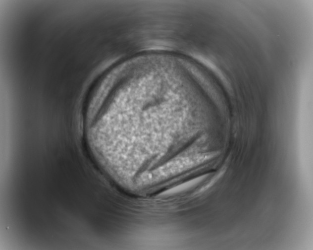 X0000088061317200706081641