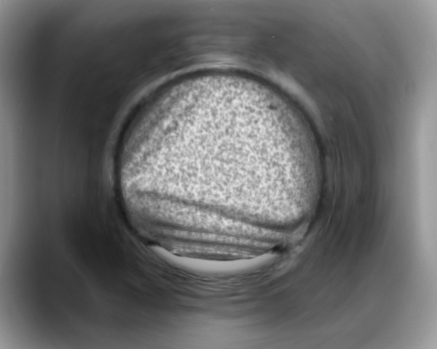 X0000088061318200706081641