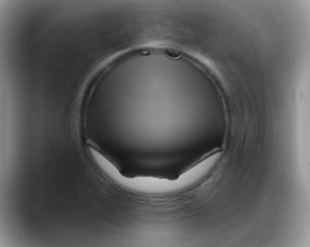 X0000088061319200706081641
