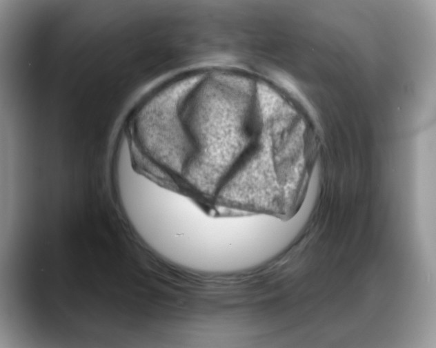 X0000088061320200706081641