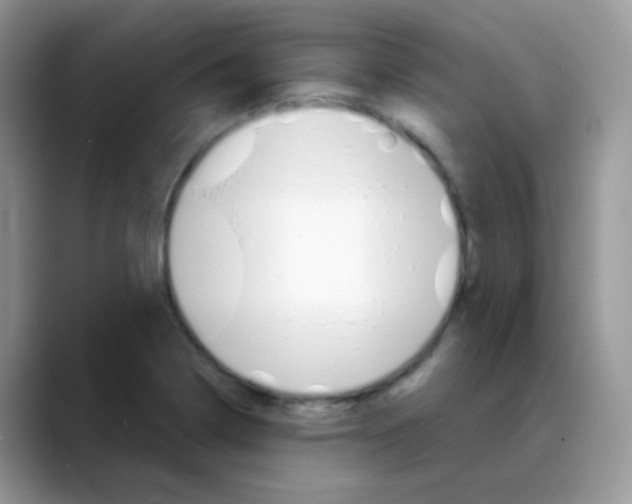X0000088061322200706081641