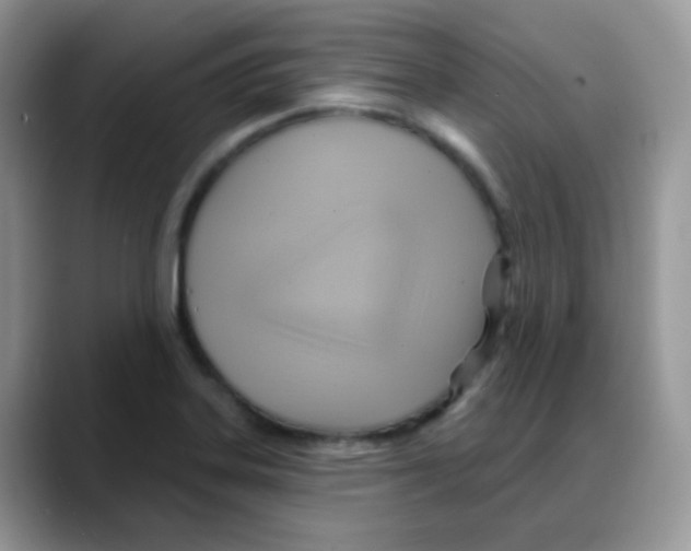 X0000088061323200706081641
