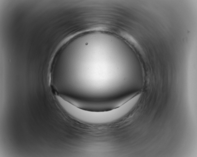 X0000088061324200706081641