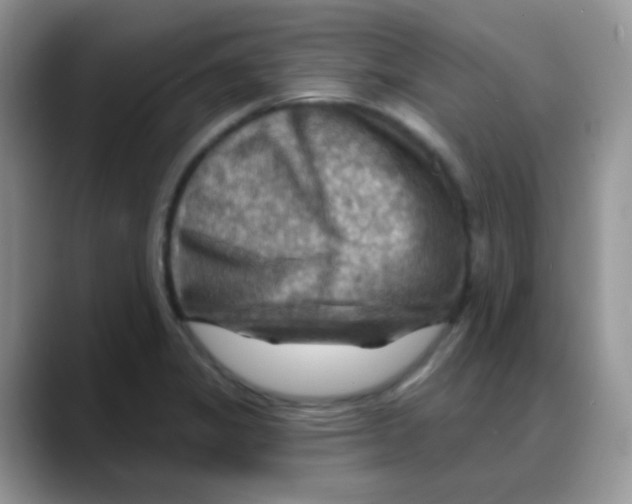 X0000088061325200706081641