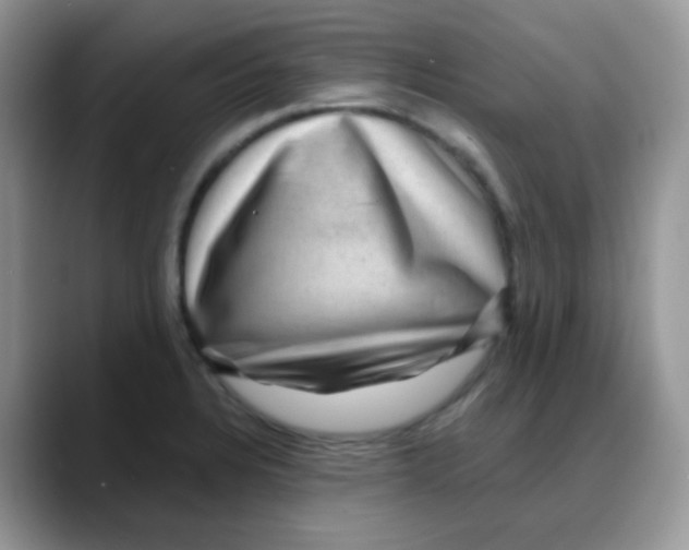 X0000088061328200706081642