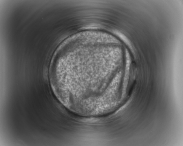 X0000088061329200706081642