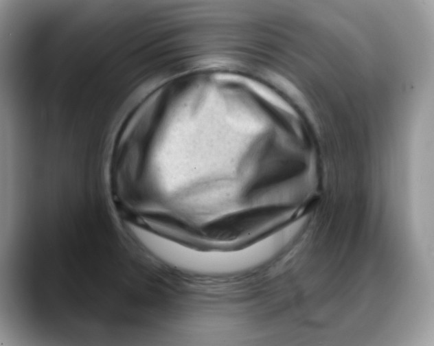 X0000088061330200706081642