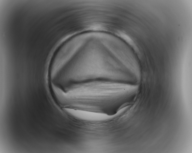 X0000088061331200706081642