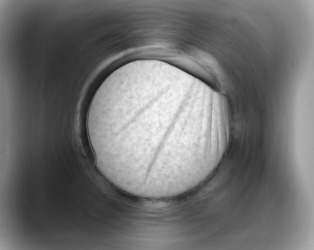 X0000088061332200706081642