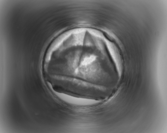X0000088061333200706081642