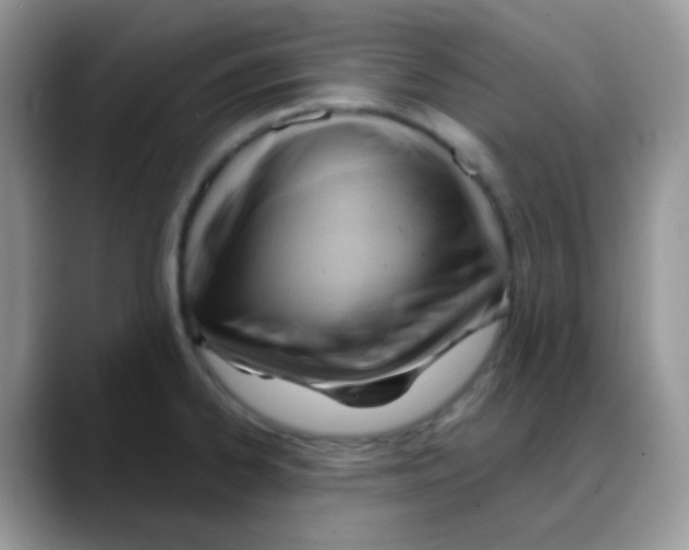 X0000088061334200706081642