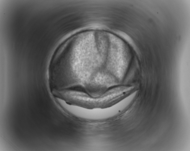 X0000088061335200706081642