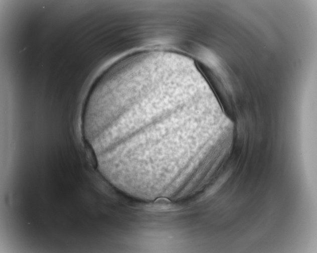 X0000088061336200706081642