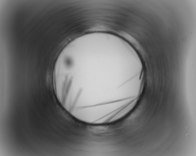 X0000088061337200706081642