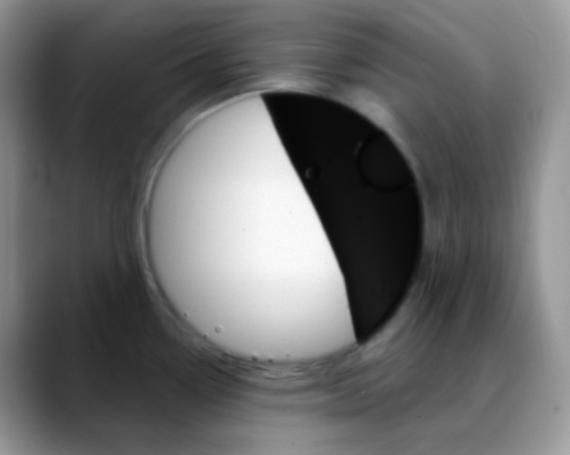 X0000088061338200706081642