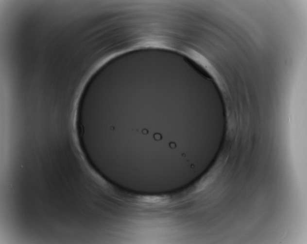 X0000088061339200706081642