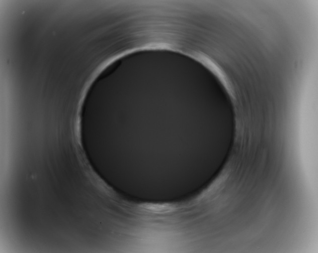 X0000088061340200706081642