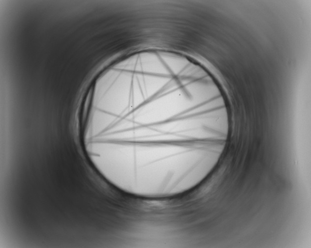 X0000088061341200706081642