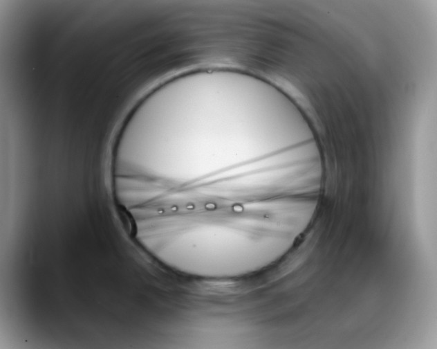 X0000088061342200706081642