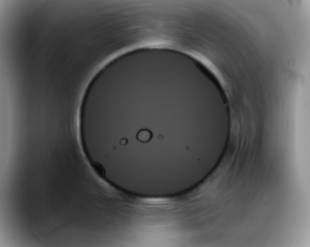 X0000088061343200706081642