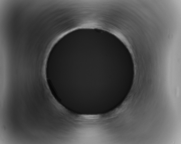 X0000088061344200706081642