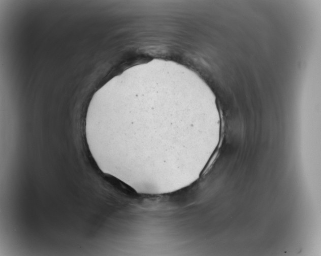 X0000088061345200706081641