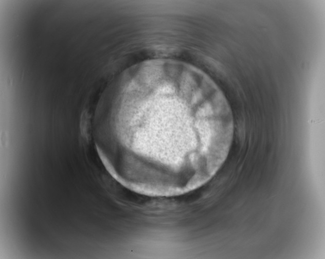 X0000088061346200706081641