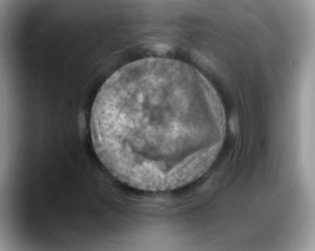 X0000088061347200706081641