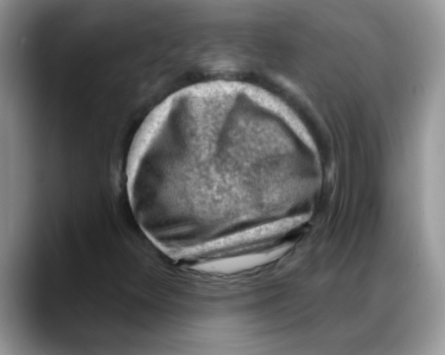 X0000088061348200706081641