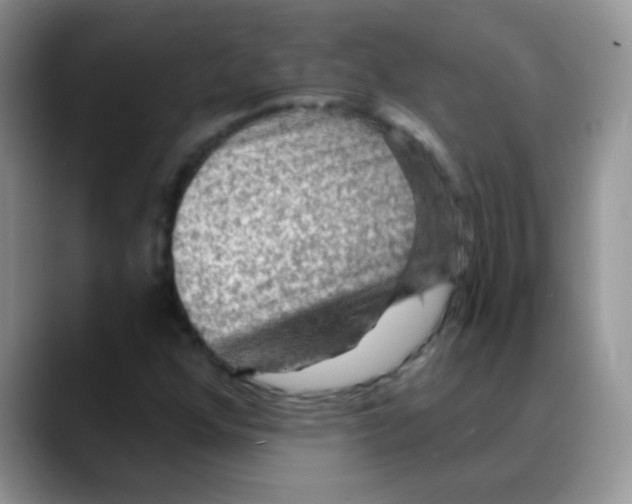 X0000088061352200706081641