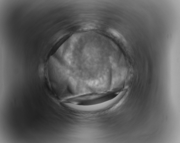 X0000088061353200706081641