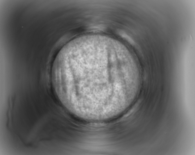 X0000088061354200706081641