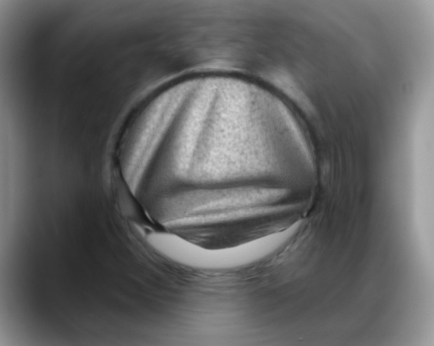 X0000088061356200706081641