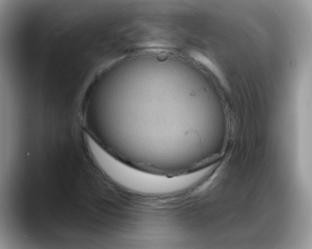 X0000088061357200706081641