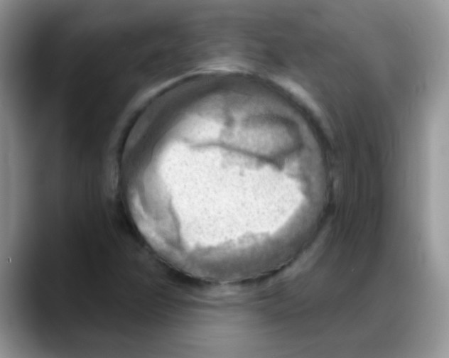 X0000088061358200706081641